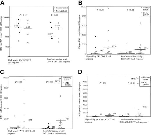 Figure 1. CD8+ T-cell response to stimulation with the HLAA*0201–restricted peptides CMV pp65, PR1, WT1, and BCR-ABL in 18 healthy donors and 14 patients with CML. (A) CMV pp65. (B) PR1. (C) WT1. (D) BCR-ABL. CD8+-selected T cells were incubated for 3 hours either with unpulsed APC or with APC pulsed with 3 doses of peptide (0.1, 1, and 10 μM). Values represent copies of IFN-γ mRNA per 104 copies of CD8 mRNA. Because of limitation in the amount of PBMCs available, the intermediate dose testing was omitted in certain cases, and the data on intermediate and low avidity are presented together. The CD8+ T-cell response to stimulation with each particular peptide was calculated by subtraction of IFN-γ mRNA copies/104 CD8 copies induced by unpulsed APC (background) from that induced by peptide-pulsed APC. Values more than 100 IFN-γ mRNA copies per 104 copies of CD8 and at least 2 times that of background were defined as positive responses. Bars represent the median number of IFN-γ mRNA copies/104 CD8 copies for each condition. Responses to stimulation with PR1 and WT1 were signifi-cantly higher in the CML group. Responses to stimulation with BCR-ABL were detectable only in the CML group.