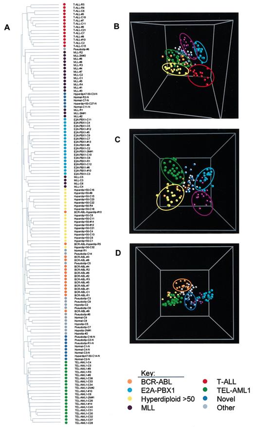 Figure 1. Distinct leukemia subtypes can be defined based exclusively on their expression profiles. Expression profiles were obtained on leukemic blasts from 132 diagnostic bone marrow aspirates and the data analyzed using (A) an unsupervised 2-dimensional clustering algorithm and (B-D) principle component analysis (PCA). In this analysis the cases in the training and test sets were combined, and the analysis was performed with the 26 825 genes from the Affymetrix U133A and B microarrays that varied in their expression across this dataset. (A) A 2-dimensional hierarchic clustering was performed using Pearson correlation coefficient and unweighted pair group method using arithmetic averages. (B) Multidimensional scaling plot of all cases using PCA. (C) Multidimensional scaling plot of B-lineage ALL cases (n = 118). (D) The identical multidimensional scaling plot as shown in panel C except the plot was rotated 90°. Each case is represented by a sphere and is color coded to indicate the genetic subgroup to which it belongs: BCR-ABL (orange), E2A-PBX1 (aqua), hyperdiploid with more than 50 chromosomes (yellow), MLL (purple), T-ALL (red), TEL-AML1 (green), novel cases (blue), and unclassified cases (gray).