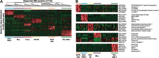 Figure 4. New class-discriminating genes. (A) Shown is a 2-dimensional hierarchic cluster of ALL cases using the newly identified class discriminators from the U133A and B microarrays. Probe set signal values are normalized to the mean for the dataset and then for each individual case are represented by color, with red representing deviation above the mean and green representing deviation below the mean. Genetic subtypes are indicated across the bottom of the panel. (B) Shown are selected genes highly correlated with individual genetic subtypes of ALL. Probe set signal values are normalized to the mean for the dataset, and values for each individual case are represented by color, with red representing deviation above the mean and green representing deviation below the mean. The leukemia subtype is indicated at the bottom of the figure. GenBank accession numbers and gene symbols or DNA sequence names are listed on the right side of the panel.