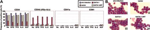 Figure 6. Expression of differentiation markers in mGATA-1–infected MGS in the presence of cytokines. (A) MGS cells were cultured in a medium supplemented with cytokines (EPO, TPO, IL-3, SCF, and GM-CSF), and the frequency of differentiation marker–positive cells was examined. Examined were 4 differentiation markers. Blue columns represent MGS cells without infection, while dark green columns represent MGS cells infected with the empty MSCV vector. Red columns indicate MGS cells infected with MSCV–mGATA-1, and yellow columns represent MGS cells infected with ΔNT. (B) Giemsa staining of MGS cells. No significant morphologic differences were observed among MGS cells infected with MSCV–mGATA-1, MSCV vector, and ΔNT. Original magnification, × 1000.