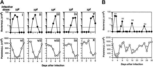 Figure 5. Thrombocytopenia is temporally correlated with spirochetemia. (A) 129Sv/C57BL6 mice were inoculated intraperitoneally with decreasing numbers of B hermsii DAH, as indicated. Spirochetemia (i-v) was measured by visually counting the number of spirochetes in the infected blood under dark-field microscopy, whereas platelet counts (vi-x) were determined by flow cytometry. The broken line indicates the detection limit for spirochetemia. (B) Mice inoculated intraperitoneally with 106 B hermsii DAH, spirochetemia, and thrombocytopenia were monitored as described.28 Peaks of spirochetemia (labeled S1, S2, S3, and S4; top panel) were temporally associated with episodes of thrombocytopenia (labeled T1, T2, T3, and T4; bottom panel).