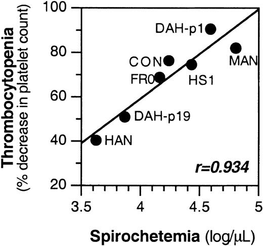 Figure 6. Thrombocytopenia is quantitatively correlated with spirochetemia. 129Sv/C57BL6 mice were inoculated intraperitoneally with 106 spirochetes of the indicated B hermsii strain. Spirochetemia, determined as described in “Materials and methods,” peaked on day 2 or 3 after infection and is plotted on the x-axis. Platelet counts were also monitored, and the percentage of decrease from day 0 was calculated and plotted on the y-axis. The correlation coefficient (r) is given. Sets of 2 mice were infected with each strain, and the results from each mouse were similar. For clarity, values from only 1 mouse are shown.