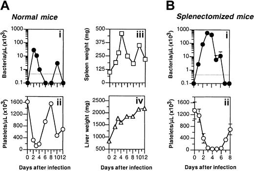 Figure 7. Splenomegaly temporally correlates with thrombocytopenia during B hermsii infection. (A) 129Sv/C57BL6 mice were inoculated intraperitoneally with 106 B hermsii DAH. On each of the indicated days after infection, 2 mice were killed, and spirochete counts (i), platelet counts (ii), and spleen (iii) and liver (iv) weights were determined. (B) Spirochetemia (i) and thrombocytopenia (ii) in C57BL6 mice after splenectomy.
