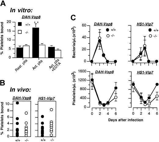 Figure 8. Activation-dependent integrin αIIbβ3 is not required for bacterial attachment or induction of thrombocytopenia. (A) Resting (Rest) or thrombin-activated (Act.) wild-type (+/+; ▪) or β3-integrin–deficient (–/–; □) mouse platelets were incubated with B hermsii DAH-Vsp8 in the presence or absence of 10 mM EDTA, and platelet binding was measured by flow cytometry. Shown are the means ± SDs of 2 independent experiments. **P < .001 with activated platelets from –/–mice. (B-C) 129Sv/C57BL6 wild-type (+/+; •)or β3-integrin–deficient (–/–; ○) mice were inoculated intraperitoneally with 106 B hermsii DAH or HS1. (B) At peak spirochetemia on day 2 after infection, the percentages of platelets with bound bacteria were quantified by flow cytometry (see “Materials and methods”). Shown are the means ± SDs of 8 mice from each group. (C) On the indicated days after infection, spirochete and platelet counts were determined. Shown are the means ± SDs of 10 mice from each group.