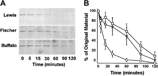 Figure 7. The rate of kallikrein cleavage of CHO cell–expressed HK light chain. (A) Western blot detects a specific 40-kDa band of the recombinant (His)6–HK4-6 in all 3 strains and shows the disappearance of the (His)6 tag band as it is cleaved by kallikrein. (B) Quantitative densitometric analysis of the (His)6–HK4-6. The rate of cleavage as a function of time was analyzed. ○ indicates Lewis; □, Fischer; and ▿, Buffalo. Mean ± SEM, n = 3. The Lewis recombinant (His)6-tagged HK cleavage was significantly faster than observed in the Fischer or Buffalo rat recombinants.