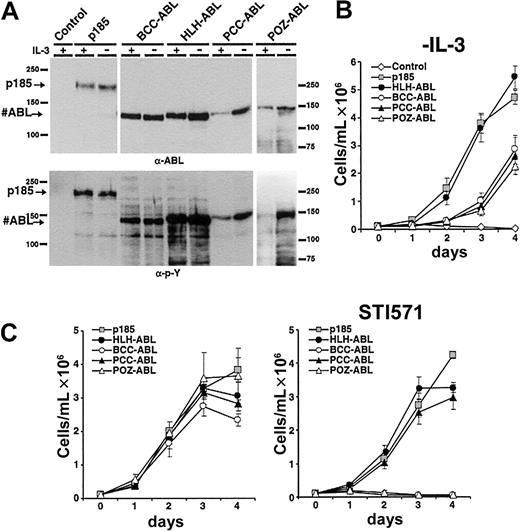 Figure 3. Induction of factor-independent growth in Ba/F3 cells by the expression of #ABL chimeras. (A) Expression levels and tyrosine phosphorylation of the transgenes expressed in Ba/F3 cells. (B) Factor-independent growth of Ba/F3 cells expressing the indicated transgenes. (C) Effect of 1 μM STI571 on IL-3–independent growth of Ba/F3 cells expressing p185(BCR-ABL) or the indicated #ABL chimeras (mean of 3 independent experiments ± SD). (Left) Without STI571. (Right) With STI571.