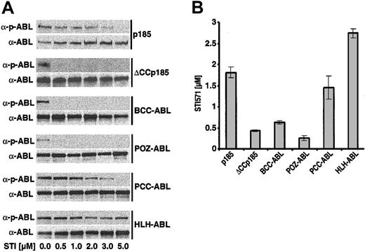 Figure 5. Influence of STI571 on the autophosphorylation of #ABL chimeras and the IC50 for STI571 of Ba/F3 cells expressing the #ABL chimeras. (A) Autophosphorylation of p185(BCR-ABL) and the different #ABL chimeras in the presence of increasing concentrations of STI571 detected by the relationship between the amount of ABL and phosphorylated ABL detected by α-ABL and α-pABL, respectively. (B) IC50 for STI571 of Ba/F3 cells expressing p185(BCR-ABL) and the different #ABL chimeras. Data presented are the mean of 2 independent experiments ± SD.