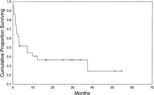 Figure 2. Event-free survival.