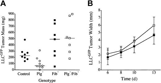 Figure 3. LLC tumor growth is restored in the footpad of plasminogen-deficient mice by genetic elimination of fibrinogen. (A) Weights of footpad tumors in cohorts of control •, Plg– ○, Fib– ▪, and Plg–/Fib– □ mice analyzed in parallel are shown 14 days after transplantation of LLCGFP. The weight distribution of footpad tumors was significantly smaller in Plg– mice than in control animals (P < .02), consistent with 2 other independent experiments. The elimination of fibrinogen relieved the impediment in tumor growth in Plg– mice. Indeed, footpad tumors from Plg–/Fib– mice were larger than those derived from control mice, though this difference was not statistically significant (P = .1). Plasminogen was not a significant determinant of tumor mass in the absence of fibrinogen (P = .7). Horizontal lines indicate median values. (B) Serial tumor width measurements demonstrated similar tumor expansion in fibrinogen-deficient mice with (▪, n = 7) and without (□, n = 7) plasminogen (P > .1 at each time point). All P values were established using the Mann-Whitney U test. Error bars indicate standard deviation from the mean.