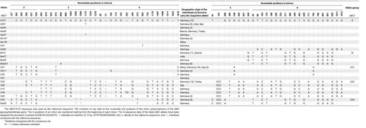 Polymorphic nucleotide positions within introns 2 to 6 of the ABO gene