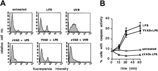 Figure 1. Early caspaselike activation in DCs exposed to LPS. (A) DCs were loaded with FITC-VAD and then left untreated or exposed for 30 minutes to LPS (100 ng/mL), with or without 1 hour pretreatment with zVAD (40 μM) or cell-permeable YVAD (4 μM). FITC-VAD–loaded DCs were also exposed to UVB with or without pretreatment with zVAD. Cell fluorescence intensity was analyzed by flow cytometry. (B) The percentage of FITC-positive cells at different time points is shown for each of the above mentioned conditions. Means ± 1 SD from 3 independent experiments are shown. Each experiment was performed in duplicate.