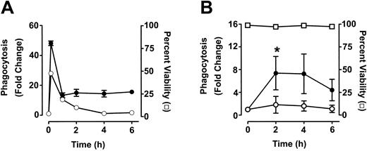 Figure 5. Time course analysis of monocyte and granulocyte phagocytosis of anti-D–opsonized RBCs. Leukocytes were incubated in duplicate tubes (one at 4°C and the other at 37°C) with either opsonized E coli (A) or anti-D–opsonized RBCs (B) at an RBC/WBC ratio of 500:1 for the indicated times and analyzed by flow cytometry. The data are expressed as fold change in phagocytosis and calculated by the formula: percentage of FL2 fluorescence at 37°C/percentage of FL2 fluorescence at 4°C. ○ indicates monocytes; and •, granulocytes. In panel B, viability (□) of granulocytes was determined by propidium iodide staining. Monocytes gave similar viability percentages (not shown). The results are shown as the means ± SDs of 3 independent experiments. Significance values are indicated (*P < .0001).