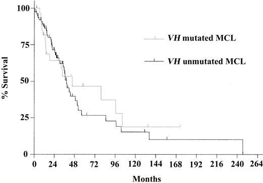 Figure 2. Kaplan-Meier survival curves. Curves compare VH-mutated and -unmutated MCL. Median survival times were 45.1 months in the VH-mutated subgroup (n = 30) and 38.4 months in the VH-unmutated subgroup (n = 75) (P = .67).