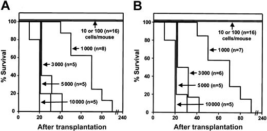 Figure 3. Survival curves for mice receiving transplants with different doses of Sca-1+lin– BCR-ABL–transduced +/+ and SHIP–/– cells are indistinguishable. Survival curves of C57BL/6J Pep3b mice injected with different numbers of FACS-sorted Sca-1+lin–GFP+ BM cells from BCR-ABL–transduced +/+ B6 mice (A) or B6-SHIP–/– mice (B).
