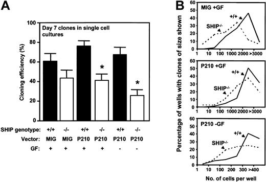 Figure 6. Reduced factor-independent growth of single BCR-ABL–transduced SHIP–/– Sca1+lin–GFP+ cells in vitro. (A) Percentage of transduced cells generating clones of more than 2 refractile cells after 7 days in the presence or absence of added growth factors. Values shown are the mean ± SEM from 3 experiments with each genotype of BM cells. *Indicates significantly different from BCR-ABL–transduced +/+ cells (P < .05). (B) Clone size distributions obtained from MIG– or BCR-ABL–transduced SHIP–/– cells compared with MIG– or BCR-ABL–transduced+/+ cells after being cultured for 7 days in the presence or absence of growth factors. Data for a representative experiment of 3 performed are shown.