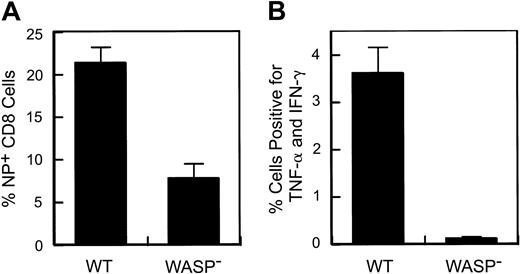 Figure 2. A defect in the response to secondary influenza virus challenge in WASP— animals. Eight to 9 weeks after primary intraperitoneal inoculation with influenza (PR8), animals received a secondary intranasal inoculation with strain X31. Splenic T cells were harvested 8 to 9 days later. (A) Percentage of splenic CD8+ T cells specific for the influenza NP antigen. Data are pooled from 3 separate experiments (WT: n = 10; WASP—: n = 9). (B) Cytokine production by stimulated splenic T cells. Spleen cells were cultured in the presence of Brefeldin A and NP peptide and then analyzed by flow cytometry as described in “Materials and methods.” The percentage of CD8+ cells positive for TNF-α and IFN-γ are shown (WT: n = 4; WASP—:n = 3). Error bar equals standard error.