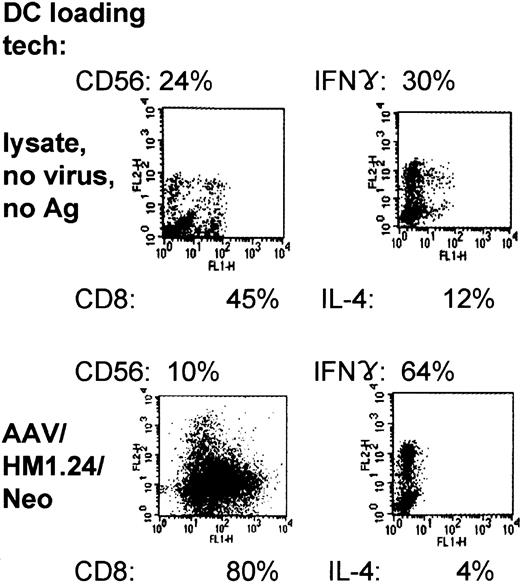 Figure 11. Two-color flow cytometric characterization and intracellular cytokine expression in primed T-cell populations. Representative experiment of 3 independent experiments (each using a different donor). Shown are the results of FACS analysis, giving CD8 and CD56 prevalence within the primed population resulting from lysate- or AAV/HM1.24/Neo-loading techniques. In addition, the intracellular prevalences of IFN-γ and IL-4 within primed and stimulated mixed T-cell populations are shown, resulting from lysate- and AAV/HM1.24/Neo-loading techniques. Note that the use of AAV/HM1.24/Neo loading resulted in a higher IFN-γ/IL-4 ratio and a lower CD56/CD8 ratio.
