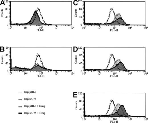 Figure 4. Measurement of intracellular ROS production using a redox-sensitive dye and FACS. BACH2-overexpressing (no. 75) and control (pDL2) RAJI clones were seeded (2 × 105/mL) into 12-well plates and treated with 0.02 μg/mL MTX (A), 0.01 μg/mL VCR (B), 2 μg/mL VP16 (C), 0.2 μg/mL DNR (D), or 0.1 μg/mL Ara-C (E) for 24 hours. After treatment, the cells were stained with DCFH-DA and analyzed by flow cytometry as described in “Materials and methods.” Control cells are indicated by open area, and treated cells by filled area. The results are representative of 3 separate experiments.