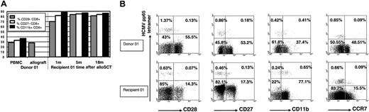 Figure 5. Following alloSCT, MHC class I HCMV-pp65 peptide-specific tetramer+ CD8+ cells are abundant within the expanded CD28-CD8+, CD27-CD8+, and CD11b+CD8+ T-cell subpopulations. (A) Relative to donor 01 PBMCs, there is an early and persistent expansion in the percentage of CD28-CD8+ CD3+, percentage of CD27-CD8+ CD3+, and percentage of CD11b+ CD8+ CD3+ T cells in the PBMCs of recipient 01 following alloSCT. The proportion of CD28-CD8+ CD3+ T cells was similar in donor PBMCs and donor peripheral blood stem cells (PBSCs); CD27 and CD11b data were not available in donor 01 PBSCs. (B) Upper panels, donor 01; lower panels, recipient 01 at 22 months after alloSCT. Gated on CD8+ T cells. Results are expressed as percentage of CD8+ T cells. In recipient 01 MHC class I HCMV-pp65 peptide-specific tetramer+ CD8+ cells are abundant within the expanded CD28-CD8+, CD27-CD8+, and CD11b+ CD8+ T-cell populations and are predominantly CCR7-CD8+. Results are representative of recipients 01 to 04.