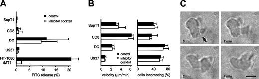 Figure 7. Protease-independent migration of other leukocytes. (A) Release of FITC from FITC-containing 3D collagen matrix by migrating SupT1 lymphoma cells, CD8+ T blasts, U937 monocytic cells, and monocyte-derived human dendritic cells. Cells were cultured in FITC-collagen for 40 hours in the absence or presence of protease inhibitor cocktail. Data represent the means ± SD from 3 independent experiments. High nonspecific fluorescence of unclear origin was obtained for supernatants from dendritic cells only. This fluorescence was neither sensitive to protease inhibitors nor did it reflect fiber degradation, as previously shown by confocal analysis.46 (B) Mean velocity and percentage of locomoting cells in the absence or presence of inhibitor cocktail. Data show the mean activities over time (>1 hour) and standard deviations from 3 independent experiments (120 cells) obtained from cell tracking. (C) Amoeboid movement of U937 cell resulting in the formation of a constriction ring (arrow) that remains unchanged in position. Bar, 10 μm.