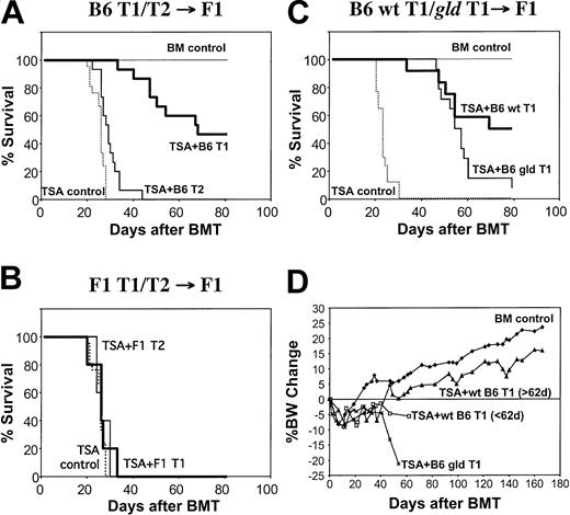 Figure 6. T1- and T2-mediated allogeneic GVT effects. (A) Allogeneic BMT model. CB6F1 mice were lethally irradiated and given B6 BM cells on day 0. All mice received 0.1 × 106 TSA breast cancer cells except for the BM control group (n = 7). Some mice received only the donor B6 BM cells (TSA control; n = 28), whereas other mice received BM supplemented with 10 × 106 in vitro generated donor B6 T1 (n = 15) or T2 (n = 15) cells. (B) Syngeneic BMT model. CD3/CD28-generated T1 and T2 populations were generated from CB6F1 mice and administered to lethally irradiated syngeneic CB6F1 hosts inoculated with TSA breast cancer cells (n = 5 per T1 and T2 BMT groups). (C) Allogeneic BMT model using fasL-deficient gld T1 cells. T1 cells from B6 wild-type (n = 12) or B6 gld (n = 14) mice were generated using CD3/CD28 stimulation and administered to lethally irradiated allogeneic CB6F1 hosts inoculated with TSA breast cancer cells. (D) Percentage body weight change (from day 0).