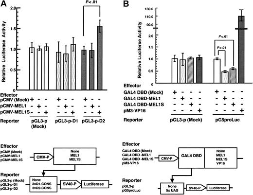 Figure 7. Transcription activity of MEL1 and MEL1S. (A) Transactivation of the luciferase gene via binding of MEL1 and MEL1S proteins to DNA consensus sequences. Transient transcriptional activation of the luciferase gene was measured with dual-luciferase reporter assay system. pGL3-promoter vector containing D1-CONS or D2-CONS was cotransfected into P19 cells along with either mock expression vector (pCMV), pCMV-MEL1, or pCMV-MEL1S and Renilla luciferase expression vector (pRL-TK). Relative firefly luciferase activity was measured in cell extracts and normalized with respect to Renilla luciferase activity. Each value represents the average obtained from 3 independent experiments. Bars indicate standard deviation errors. (B) Repressor activities of GAL4 DBD-fused MEL1 and MEL1S. P19 cells were cotransfected with the luciferase reporter vector of pGL3-p or pG5proLuc with 5 × the consensus GAL4 binding site (UAS) and with the mock expression vector (GAL4 DBD), GAL4 DBD-MEL1, GAL4 DBD-MEL1S, or positive control vector (pM3-VP16), respectively. After 48 hours of incubation, the cell extracts were analyzed for firefly luciferase activity, which was normalized using Renilla luciferase activity according to the manufacturer's instructions. Values of relative luciferase activity and error bars represent the means and standard deviations, respectively, of 3 separate experiments.