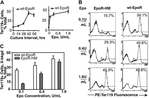 Figure 2. EpoR-HM is attenuated in its ability to support the development of Ter119-positive erythroid progenitor cells. (A) Marrow preparations from wt-EpoR mice were cultured in the presence of Epo at 1.6 U/mL, and Ter119-positive cell formation was assayed at 0, 14, 28, 42, and 56 hours (left). At 42 hours of culture, Epo concentration-dependent profiles for Ter119-positive cell development also were defined (right). (B) Bone marrow preparations from EpoR-HM or wt-EpoR mice were cultured in the presence of Epo at 0.1, 0.4, and 1.6 U/mL, and at 42 hours the Ter119-positive cell formation was assayed. Representative flow cytometric profiles are shown, and frequencies of Ter119-positive cells are indexed (as the percent of total events). The gate for positive events was set using unstained EPCs. (C) Differences in the abilities of EpoR-HM versus the wt-EpoR to support Ter119-positive EPC formation are summarized. Values are normalized means (less background levels for positive events in the absence of Epo stimulation) (n = 3 EpoR-HM and n = 3 wt-EpoR mice). Percents refer to positive events among totals.