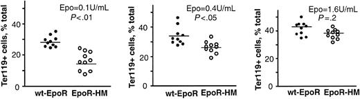 Figure 4. Overall outcomes for Epo-dependent Ter119-positive cell formation from EpoR-HM versus wt-EpoR EPCs. Graphed are the frequencies of Ter119-positive cells formed in the presence of Epo at 0.1, 0.4, and 1.6 U/mL for marrow preparations from 10 EpoR-HM and 10 wt-EpoR mice. Differences between means (horizontal bars) were tested for significance (P values) using Student t distribution.