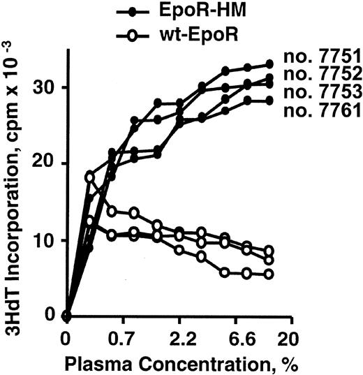 Figure 8. Serum growth factor activity is elevated in EpoR-HM mice. Sterile plasma samples were prepared from 8-week-old EpoR-HM and wt-EpoR mice and were used to challenge G1E2 cells in a 3HdT incorporation assay format. Data shown are for samples from individual EpoR-HM and wt-EpoR mice, and outcomes are representative of 2 independent experiments.