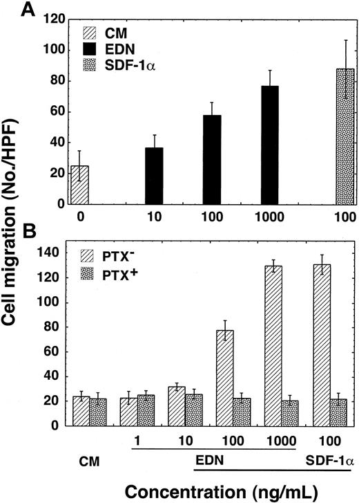 Figure 1. EDN induction of human iDC migration in a PTX-sensitive manner. (A) Dose-dependent migration of CD34+ cell–derived iDCs in response to EDN. (B) Inhibition of EDN-induced migration of CD34+ cell–derived iDCs by PTX. Immature DCs were preincubated at 37°C for 30 minutes in the absence (PTX-) and presence (PTX+) of PTX (200 ng/mL) before applying to the upper wells of chemotaxis chamber. DC migration is shown as the average number of migrated cells (mean ± SD) in triplicate wells.