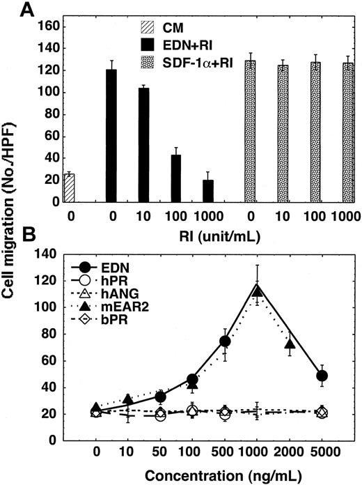 Figure 2. Chemotaxis of human dendritic cells in response to EDN and mEAR2. (A) Specific abrogation of EDN-induced chemotaxis CD34+ cell–derived iDCs by RI. RI was mixed with EDN (1000 ng/mL) or SDF-1α (100 ng/mL) at concentrations as specified and the mixtures were added to the lower wells of chemotaxis chambers. (B) DC chemotactic activities of several members of the RNase A superfamily. Chemotaxis of iDCs is shown as the average cell migration (mean ± SD) of triplicate wells. hPR and bPR indicate human and bovine pancreatic RNase, respectively; hANG, human angiogenin; and mEAR2, murine eosinophil–associated RNase 2.