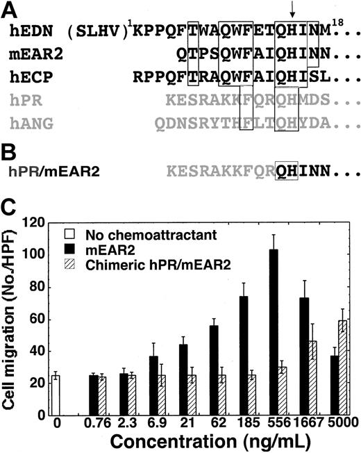 Figure 5. Critical role of the N-terminal region of mEAR2 for its DC chemotactic effect. (A) Alignment of the amino terminal sequences of hEDN, mEAR2, human eosinophil cationic protein (hECP), human pancreatic ribonuclease (hPR), and human angiogenin (hANG). Regions of identical sequence shared by EDN and mEAR2 are identified within the open boxes and, if shared by ECP, hPR and hANG, the boxes are extended to include them. The additional amino-terminal residues of the “-4” form of EDN are included in parentheses. An arrow indicates the position of the universally conserved histidine that serves as a crucial catalytic residue in all RNase A superfamily ribonucleases. The RNases predominantly produced by eosinophils are shown in black. (B) The N-terminal sequence of chimeric hPR/mEAR2. (C) Chemotaxis of human Mo-iDCs in response to mEAR2 and hPR/mEAR2 chimera. Chemotaxis of iDCs is shown as the average cell migration (mean ± SD) of triplicate wells.