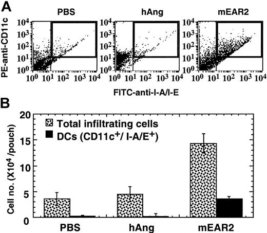 Figure 7. In vivo chemotactic activity of mEAR2. Balb/c mice with well-formed air pouches were randomized into 3 groups (n = 3-5). The air pouches of mice were injected with 1 mL PBS alone or containing 1 μg/mL hANG or mEAR2, respectively. After 4 hours, the air pouches were washed with PBS containing 5 mM EDTA and 20 U/mL heparin. Cells recovered from the air pouches were counted and analyzed by FACScan after staining with PE–anti-CD11c and FITC–anti–I-A/I-E or isotypematched control antibodies. (A) Representative dot plots showing the PE and FITC double-positive DCs (top right quadrant highlighted by a rectangle) in the infiltrating cells recovered from PBS-, hANG-, or mEAR2-injected air pouches. (B) The average (mean ± SD) of total infiltrating cells or DCs of each group, which was calculated by multiplying total cell number with percentage of DCs of individual air pouches.