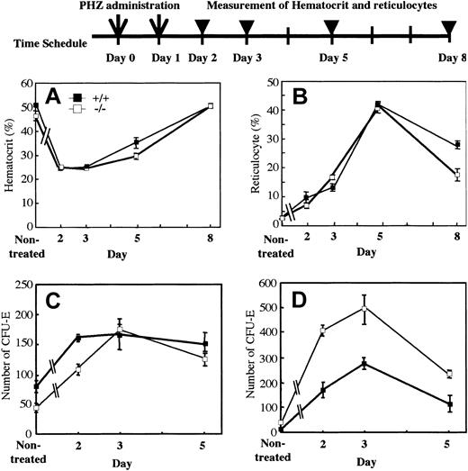 Figure 4. Kinetics of recovery after acute hemolysis by phenylhydrazine administration. A single dose of phenylhydrazine (60 mg/kg body weight) was administered intraperitoneally on days 0 and 1 (arrows). Wild-type and mutant mice were killed at 1, 2, 4, or 7 days after the final administration (arrowheads). Recovery was monitored by measurement of hematocrit (A) and reticulocytes (B). CFU-Es (mean ± SD) of 25 000 BM nucleated cells (C) and 100 000 spleen nucleated cells (D) from wild-type and mutant mice on days 2, 3, and 5 (n = 3 to 5 for each genotype) were assessed by semisolid methylcellulose cultures.