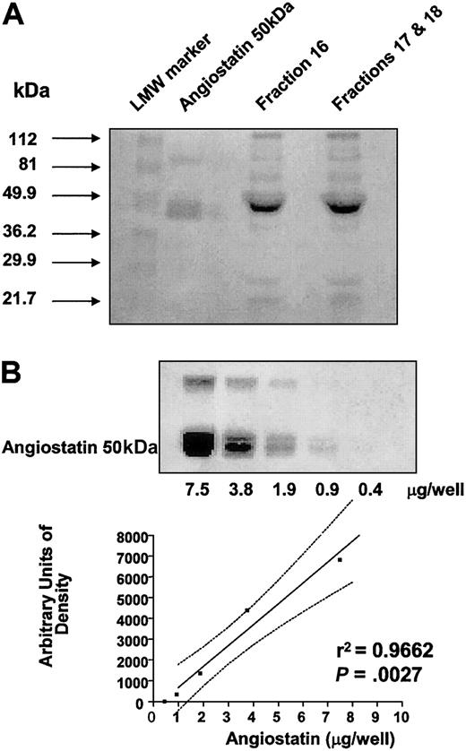Figure 4. Platelet-derived angiostatin. (A) Coomassie brilliant blue–stained SDS-PAGE of fractions 16 and pooled fractions 17 and 18. Fractions were obtained by lysine-Sepharose affinity chromatography for angiostatin of pooled platelet releasates. (B) Linear regression analysis (plotted points and solid line; confidence interval, dotted lines) of 50 kDa angiostatin standard used to determine concentrations of affinity-purified platelet-derived angiostatin fractions.