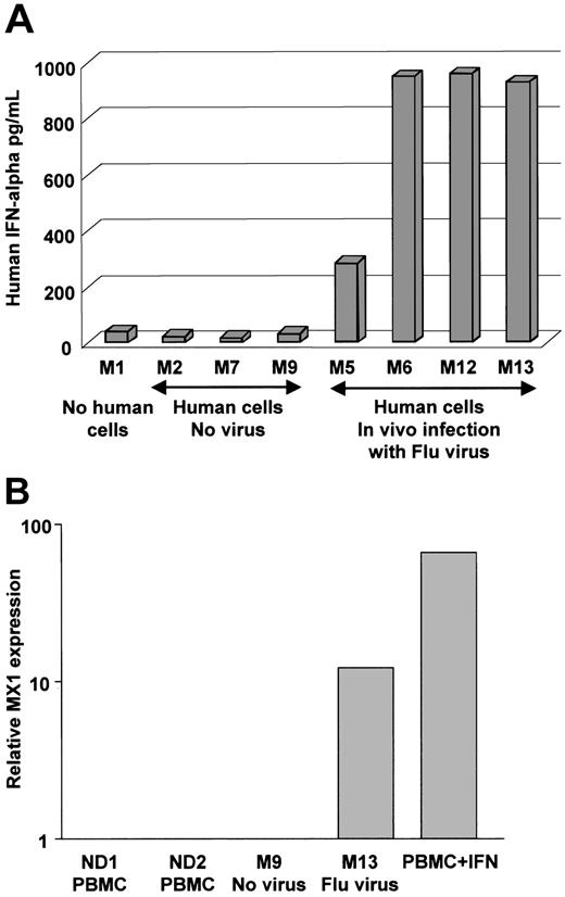 Figure 6. Injection of influenza virus into NOD/SCID mice reconstituted with human DCs triggers IFN-α release into the blood. (A) NOD/SCID mice were engrafted (except for mouse no. 1, which served as control) with human CD34+ HPC and 10 weeks later injected intravenously with either PBS (vehicle control) or 3600 viral units (based on hemagglutinin titer) per mouse. Mice were killed 16 hours after injection. Human IFN-α concentration in the serum was measured using ELISA with human cytokine-specific antibodies that do not cross-react with mouse IFN-α. P = .02 in paired t test. (B) Human cells enriched from bone marrow were analyzed by real-time RT-PCR for the levels of MX1 message expression. Relative RNA expression (vertical axis, log scale) was compared to MX1 expression in PBMCs from healthy controls. As a positive control we have used human PBMCs cultured overnight with IFN-α.