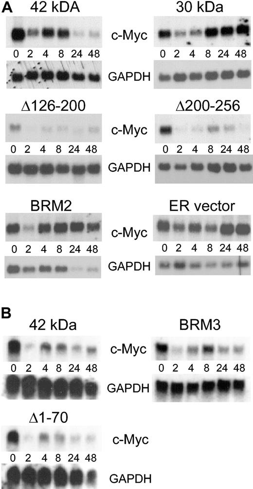 Figure 5. C/EBPα 30-kDa and BRM2 mutant proteins do not down-regulate c-Myc. (A) The figure shows the same set of Northern blots from Figure 3A hybridized to c-Myc and GAPDH probes. The hybridization signal was quantitated on a Phosphorimager and the data presented in Table 2. (B) The same set of Northern blots from Figure 3B hybridized to c-Myc and GAPDH probes. The blots for the 42-kDa C/EBPα-ER fusion in panel A and B are 2 completely independent experiments from 2 different inductions of transfected K562 cells.