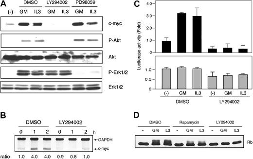 Figure 8. Potent inhibitory effects of LY294002 on GM-CSF– and IL-3–induced protein and mRNA synthesis of c-myc, c-myc IRES activity, and Rb phosphorylation in UT7 cells. (A) Elutriated G1-arrested UT7 cells were pretreated with diluent (DMSO), 50 μM LY294002, or 50 μM PD98059 for 30 minutes at 37°C and were then incubated with 1 ng/mL GM-CSF or IL-3 for 2 hours at 37°C. Total cell lysates were separated by SDS-PAGE and analyzed by immunoblotting as described in the legend to Figure 5. (B) Elutriated G1-arrested UT7 cells were pretreated with diluent (DMSO) or 50 μM LY294002 for 30 minutes at 37°C and were then incubated with 1 ng/mL GM-CSF or IL-3 for the indicated periods at 37°C. Analysis of c-myc mRNA was performed as described in the legend to Figure 1. (C) Elutriated G1-arrested UT7 cells transfected with dicistronic luciferase plasmid (pRMF or phpRMF) and pSV-β-gal were pretreated with diluent (DMSO) or 50 μM LY294002 for 30 minutes at 37°C and were then cultured with or without 1 ng/mL GM-CSF or IL-3 for 6 hours at 37°C. Luciferase assay was performed as described in the legend to Figure 4. Data presented are the means (± SEM) of 3 independent experiments. (D) Elutriated G1-arrested UT7 cells were pretreated with diluent (DMSO), 250 nM rapamycin, or 50 μM LY294002 for 30 minutes at 37°C and were then cultured with 1 ng/mL GM-CSF or IL-3 for 9 hours at 37°C. Immunoblotting for Rb was performed as described in the legend to Figure 6.