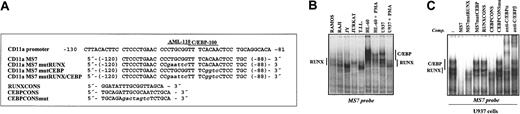 Figure 1. Sequence of the proximal CD11a promoter region around the MS7 element and recognition of the MS7 probe by nuclear extracts from lymphoid and myeloid cells. (A) CD11a proximal promoter sequence (–130 to –81) flanking the MS7 element. The oligonucleotides used throughout this paper are shown below the sequence, with mutated nucleotides in lowercase. The positions of the overlapping RUNX-binding site (AML-110) and C/EBP-binding sites (CEBP-100) are indicated. (B) EMSA was performed on the MS7 oligonucleotide probe using nuclear extracts from the indicated lymphoid and myeloid cells. (C) EMSA was carried out on the MS7 oligonucleotide probes using nuclear extracts from U937 cells and in the absence or presence of the indicated unlabeled competitor oligonucleotides (at 100-fold molar excess) or C/EBPα- or C/EBPβ-specific polyclonal antisera. The position of RUNX- or C/EBP-containing complexes is indicated.