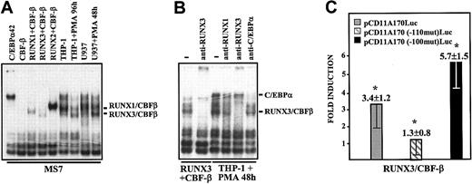 Figure 6. RUNX3 binds to and transactivates the CD11a promoter through recognition of the AML-110 element. (A) EMSA was performed on the MS7 oligonucleotide probe using nuclear extracts from COS-7 cells transfected with the indicated factors (C/EBPα42, CBFβ, RUNX1+CBFβ, RUNX3+CBFβ, or RUNX2+CBFβ) or from undifferentiated or differentiated myeloid (U937 or THP-1) cells. The position of RUNX1- and RUNX3-containing complexes is indicated. (B) EMSA was performed on the MS7 oligonucleotide probe using nuclear extracts from COS-7 cells transfected with RUNX3+CBFβ or differentiated THP-1 cells and in the absence or in the presence of polyclonal antisera against C/EBPα, RUNX1, or RUNX3. The position of C/EBPα- and RUNX3-containing complexes is indicated. (C) K562 cells were transfected with 1 μg of the indicated reporter vector together with 400 ng pCGN–AML-2 (RUNX3) plus CDM8-CBFβ. “Fold induction” represents the luciferase activity produced by each expression vector combination relative to the activity produced by 400 ng CMV-0 plus empty pCGN. Data represent mean ± SD of 3 experiments using distinct DNA preparations (*P = .01 for pCD11A170-Luc activity in the presence of the RUNX3 expression vector versus pCMV-0; *P = .01 for RUNX3 transactivation on mutant constructs compared with transactivation on pCD11A170-Luc).