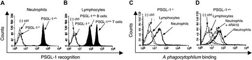 Figure 3. Binding of A phagocytophilum to murine PSGL-1-/- and wild-type leukocytes. Flow cytometric analysis of PE-conjugated anti-PSGL-1 mAb 2PH1 binding to PSGL-1-/- or control neutrophils (A) and lymphocytes (B). Flow cytometric analysis of Cell Tracker Green-labeled, PFA-fixed A phagocytophilum binding to lymphocytes and neutrophils from PSGL-1-/- (C) or control (D) mice. In panel D, control neutrophils were also pretreated with anti-murine PSGL-1 mAb 4RA10. Assays were performed in triplicate. Data are presented as the mean percentage (± SD) of leukocytes bound by 2PH1 or bacteria. CHO cells were used as a negative control in all experiments. Representative data from at least 2 studies are shown.