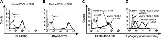 Figure 6. A phagocytophilum binds better to human PSGL-1 than to murine PSGL-1. (A) Flow cytometric analysis of binding of anti-human PSGL-1 mAb PL-1 or isotype-matched control mAb to transfected CHO cells expressing human PSGL-1. Bound mAb was detected with FITC-labeled goat antimouse IgG. (B) Flow cytometric analysis of binding of anti-murine PSGL-1 mAb 4RA10 or isotype-matched controls to transfected CHO cells expressing murine PSGL-1. Bound mAb was detected with FITC-labeled goat anti-rat IgG. (C) Flow cytometric analysis of binding of anti-sLex mAb HECA-452 or matched isotype control mAb to transfected CHO cells expressing either human or murine PSGL-1. Bound mAb was detected with FITC-labeled goat antirat IgM. (D) Flow cytometric analysis of CellTracker Green-labeled, PFA-fixed A phagocytophilum binding to nontransfected CHO cells, to murine PSGL-1-expressing CHO cells, to murine PSGL-1-expressing CHO cells pretreated with 4RA10, or to human PSGL-1-expressing CHO cells. Assays were performed in triplicate. Data are presented as the mean percentage (± SD) of cells bound by antibody or bacteria. Representative data from at least 2 studies are presented.