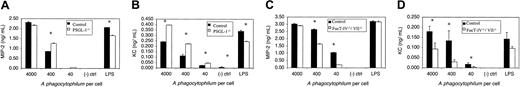 Figure 7. MIP-2 and KC levels in A phagocytophilum-infected murine neutrophil culture supernatants. Host cell-free A phagocytophilum were added to neutrophil cultures from PSGL-1-/-, Fuc-TIV-/-/Fuc-TVII-/-, and control mice at ratios of 4000, 400, and 40 bacteria per neutrophil. Twenty-four hours after incubation, MIP-2 (A,C) and KC (B,D) levels were measured. Assays were performed in triplicate. Results are presented as the mean ± SD of chemokine produced. Statistically significant differences in chemokine levels are indicated by * (P < .06). Representative data from at least 4 independent experiments are shown.