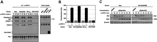 Figure 5. Gadd45β has no effect on the early events in Fas apoptotic signaling. (A) Gadd45β does not affect DISC formation. DISC analysis with lysates from Neo, HA-Gadd45β (Gadd45β), Bcl-xL, and DN-FADD BJAB clones treated with anti–APO-1 for the times indicated. Western blots were performed using anti–APO-1 immunoprecipitates (left panels) or total cell lysates (right panels) and antibodies against caspase-8, FADD, or Fas, as indicated. Fas served as loading control. Note that in the particular BJAB clone shown, DN-FADD inhibited Fas-induced recruitment of endogenous FADD. Specific and nonspecific (n.s.) bands are labeled. Shown is one representative of 3 independent experiments. (B) DISC-associated caspase-8 activity in untreated (–) and anti–APO-1–treated (30 minutes; +) BJAB clones. Clones, Fas stimulation, and DISC immunoprecipitations were as in panel A. Caspase-8–specific activity was measured by fluorimetric assays using zIETD-AFC as in Figure 4B. Values show absolute fluorescence units and represent the mean ± standard deviation of 3 independent experiments. (C) Gadd45β has no effect on the direct Fas-induced processing of Bid. Western blots (50 μg) showing Bid cleavage in Neo and HA-Gadd45β BJAB clones transduced with pBabe-Bid and treated with anti–APO-1 for the times indicated. pBabe-transduced cells were left untreated. Antibodies and Bid-specific bands are labeled.