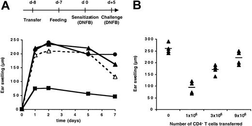 Figure 1. Adoptive transfer of CD4+ T cells restored oral tolerance in invariant chain–deficient mice. Ii°/° mice were either left untreated or transferred intravenously on day –8 with (A) 10 × 106 CD4+ T cells or CD4-depleted cells from naive C57BL/6 mice or (B) graded numbers of CD4+ T cells. All mice were fed either vehicle or DNFB one day later, sensitized epicutaneously with 0.5% DNFB on day 0, and ear challenged with 0.25% DNFB on day +5. The CHS response was determined by ear swelling at various times (A) or 48 hours (B) after hapten challenge. Standard errors were less than 15% (A). Mean increases in ear thickness are indicated by horizontal bars (B). In panel A, ▵ indicates untreated mice fed with vehicle; ▴, untreated mice fed with DNFB; ▪, mice transferred with CD4+ T cells and fed with DNFB; and •, mice transferred with CD4-depleted cells and fed with DNFB.