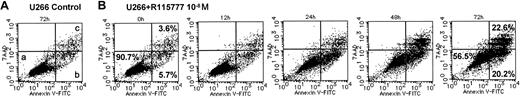 Figure 2. Effects of R115777 on the induction of apoptosis in U266 cells. Cells were cultured with R115777 at 1.0 × 10-8 M and then examined using flow cytometry. (A) There were 3 populations revealed by 2-color flow cytometric analysis using FITC-annexin V and 7-amino-actinomycin D (7AAD): viable (lower left; a), early apoptotic (lower right; b) and both late apoptotic and necrotic cells (upper right; c). U266 cells cultured without R115777 for 72 hours are mostly viable (90.7%) (a). (B) U266 cells treated with R115777 at 1.0 × 10-8 M after incubation for 72 hours showed viable (56.5%), early apoptotic (20.2%) and late apoptotic and necrotic (22.6%) cells.