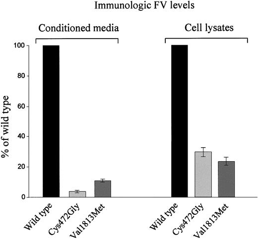 Figure 4. Transient expression of FV missense mutants in COS-1 cells. Plasmids containing wild-type (pMT2/FV) or mutant (pMT2/FV-Cys472Gly and pMT2/FV-Val1813Met) FV cDNA were transiently transfected in COS-1 cells by using LIPOFECTAMINE 2000 reagent. Antigen levels of recombinant FV were measured both in conditioned media and in the corresponding cell lysates by an EIA assay 72 hours after transfection. Bars represent means ± SD of 3 independent experiments, each performed in duplicate. The mean values of wild-type FV are set as 100%; SDs of wild-type FV measurements never exceeded 10%.