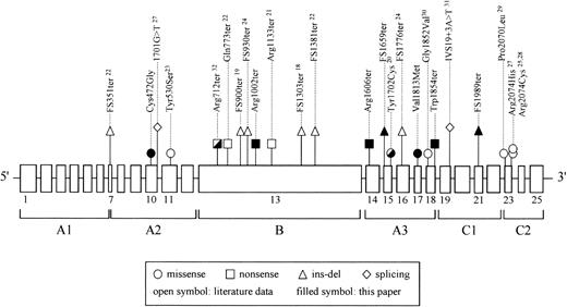 Figure 5. Mutational spectrum of severe and moderately severe FV deficiency. All known causative mutations for type I FV deficiency are projected on the exon-intron structure of F5. Exons (approximately to scale) are represented by boxes, introns (not to scale) by lines. The FV domain structure is also indicated. All genetic defects, except for splicing mutations, are indicated on the basis of their predicted effect at the protein level.