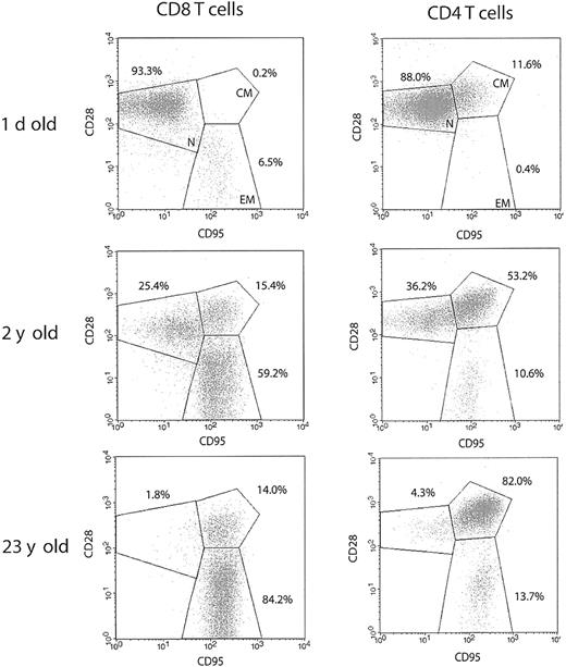 Figure 1. Rapid postnatal development of T-cell memory and loss of naive T-cell phenotype during aging differs between CD8 and CD4 T cells in the rhesus macaque. Representative FCM dot plots of naive (CD95lowCD28int./high; N), centralmemory (CD95highCD28high; CM), and effector-memory (CD95highCD28low; EM) T-cell phenotype distribution. Spleen cells were stained with FITC-conjugated CD3, PE-conjugated CD8β, or PerCP-conjugated CD4, PE- or CyC-conjugated CD28, and APC-conjugated CD95 mAbs. Gates were set on CD3+CD8+ or CD3+CD4+ cells as indicated. The percentage values represent the proportions of total CD8 and CD4 T-cells, respectively. In both CD4 and CD8 T-cell subsets, the percentage of naive cells declines profoundly during the early postnatal period, as demonstrated for a 2-year-old animal. Naive cells are almost completely depleted during advanced aging in both T-cell subsets, as illustrated by a representative profile from a 23-year-old animal. It is important to note that within the total CD95high memory population, CD28high CM cells predominate in CD4, whereas CD28– EM cells predominate in CD8 T cells.