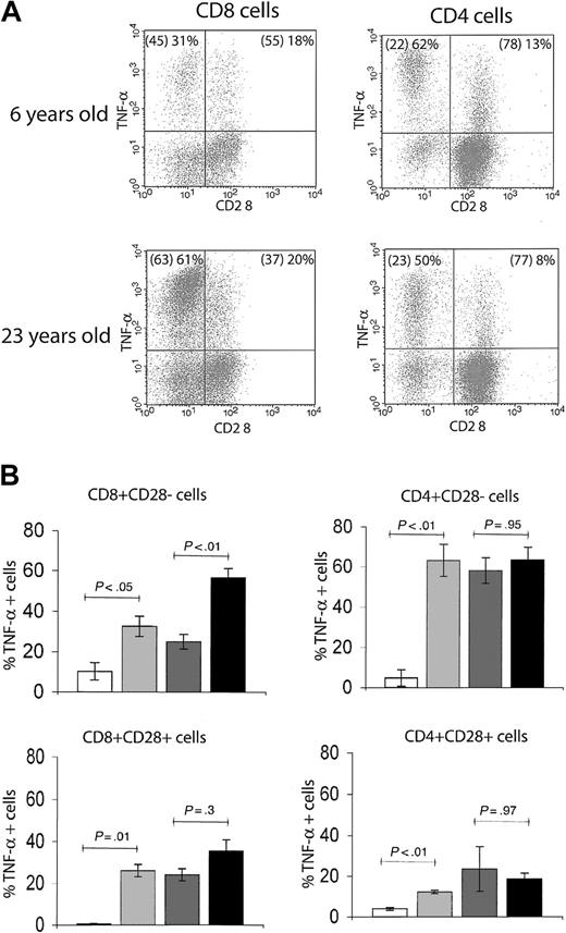 Figure 4. The association of CD28– T-cell phenotype with in vitro effector-memory functional response differs between CD4 and CD8 subsets. (A) Representative FCM dot plots of ICS for TNF-α in CD28– versus CD28+ populations. The percentages of total CD4 or CD8 T cells with CD28– and CD28+ phenotype are given in parentheses, followed by the proportion of the respective population that is positive for TNF-α. In both young adult (6 years old) and old (23 years old) animals, there was a larger proportion of TNF-α+ effector-memory cells within CD28– than CD28+ population. Within the CD4+CD28– T cells, the distribution of TNF-α+ cells was comparable between the adult and the old animal; by contrast, in CD8+CD28– T cells, the proportion of TNF-α+ cells was significantly higher in the old animal. This observation held for the entire cohort, as shown in panel B. (B) Bar graphs represent mean ± SEM values for percentages of TNF-α+ T cells with CD28– or CD28+ phenotype from animals pooled in 4 age groups. Statistical significance (P value) was determined as in Figure 3. Shading key is the same as in Figure 3.